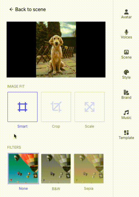 media settings filters